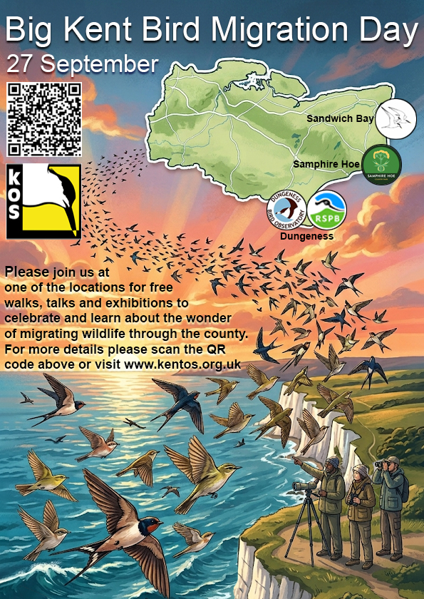 WildlifeMigrationDayPoster2026 final