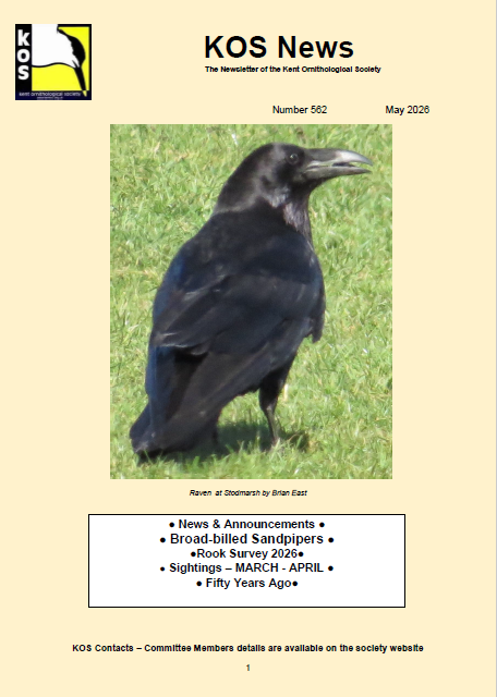 May2026_Newsletter.jpeg
